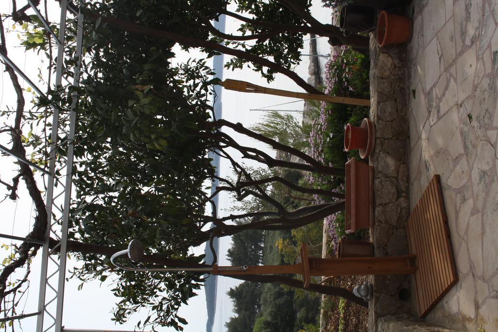 Villa Marijam Đảo Hvar Ngoại thất bức ảnh