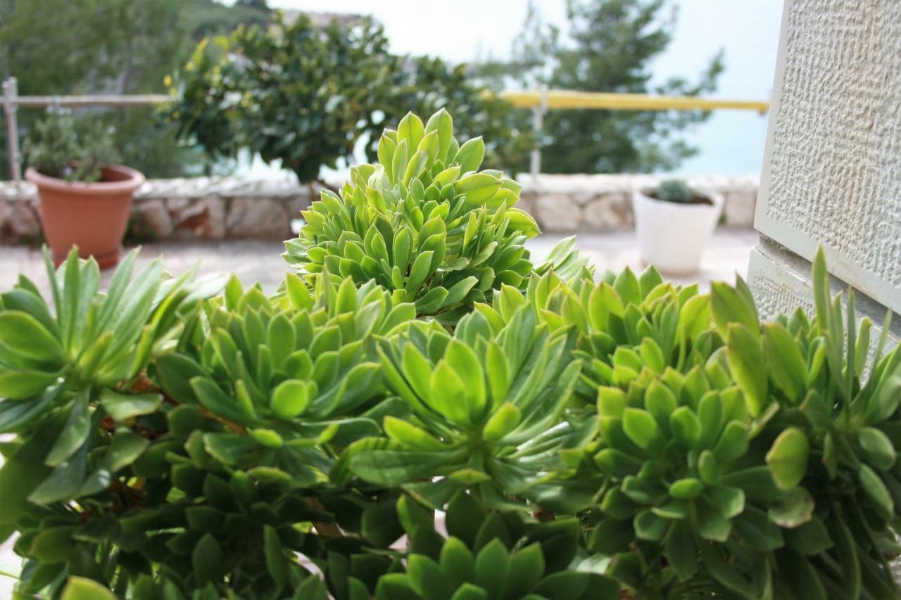 Villa Marijam Đảo Hvar Ngoại thất bức ảnh